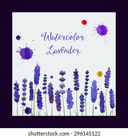 Vector illustration for greeting cards with watercolor lavender. Wedding invitation card.   Colorful theme for your design, prints and illustrations