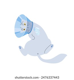 Ilustración vectorial de un felino gris con un cono protector en el cuello, después de una operación o lesión. Procedimiento de tratamiento de salud para mascotas lesionadas. 