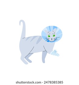 Vector illustration of a grey cat with a protective veterinary cone collar, on its neck after operation or injury. Health treatment procedure for injured pets. 