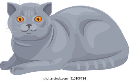 Vector Illustration of a Grey Chartreux Cat