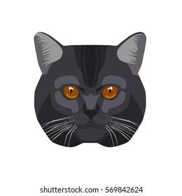 Vector illustration of grey flat cat face