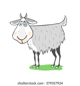Vector illustration of a grey goat looking at you.
