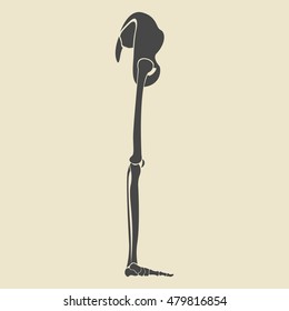 Vector illustration of grey leg