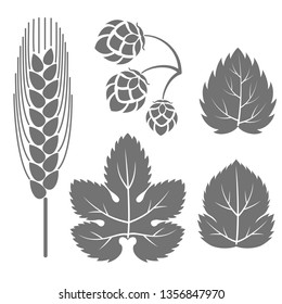 Vector illustration. Grey outline (contour) of a hop branch, leaf and a spike of barley isolated on white background. Decorative design elements for beer menu, page and bottle decoration.