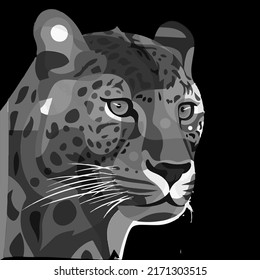 vector illustration of a grey pop art leopard