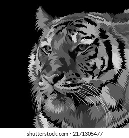 vector illustration of a grey pop art tiger