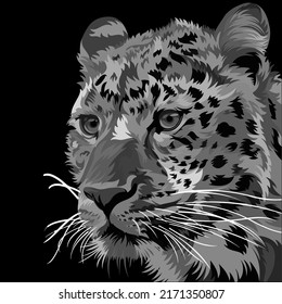 vector illustration of a grey pop art tiger