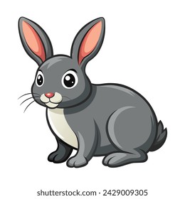 Vector of illustration grey rabbit on white