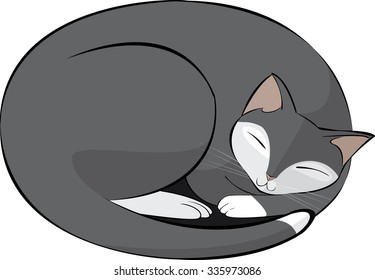 vector illustration of a grey and white cat sleeping