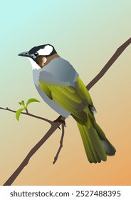 Vector illustration of a grey-green bird sitting on a branch with green leaves. Good for book illustrations, children's books and postcards.