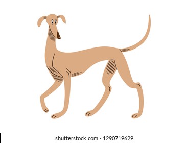 Vector illustration of a greyhound breed dog, cartoon style.