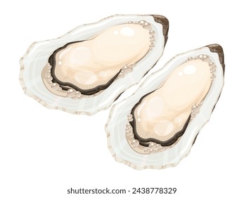 Vector illustration of grilled oysters