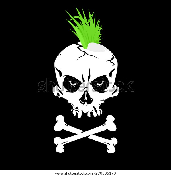 A vector illustration of a grinning skull with\
a Mohican.\
Punk Skull icon illustration.\
Punk symbol a skull and\
crossbones with a green \
Mowhawk.