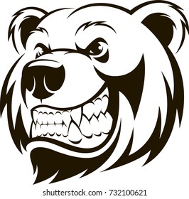 Vector illustration, a grizzly bear's head, logo, on a white background.