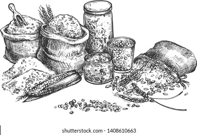 Vector illustration of grocery croup and cereal set. Rice, corn, wheat, oat, oatmeal, peas, beans in eco packaging, glass and cloth sacks bags for farmers market craft shop. Vintage hand drawn style.
