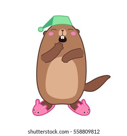 Vector illustration of groundhog in bunny slippers. With cartoon outlines