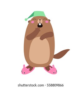 Vector illustration of groundhog in bunny slippers. Flat style