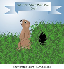 vector illustration groundhog day