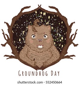 vector illustration for groundhog day. marmot between tree branches looking out of a hole.