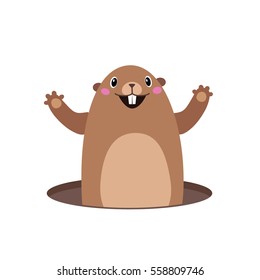 Vector illustration of groundhog popping out of his hole. Flat style