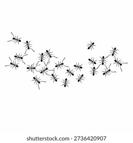 Vector illustration of a group of ants on a white background. Black ants walking together in search of food. The concept of hard work.