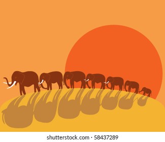 vector illustration of a group of elephants walking over a hillside in the African sunset with long shadows