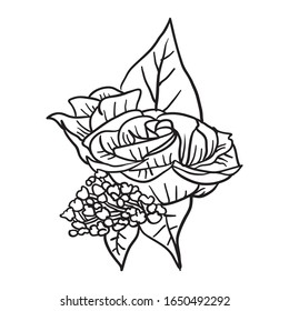 Vector Illustration Group Flower line drawing