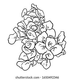 Vektorillustration Illustration Gruppe Blumenzeilenzeichnung