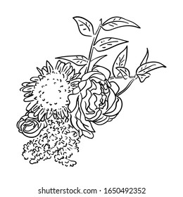 Dibujo de la línea de flor del grupo de iluminación del vector