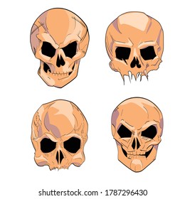 Vector illustration group of human skulls. Human skull design for characters.