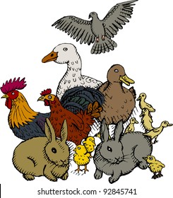 Vector illustration of group of small domestic animals