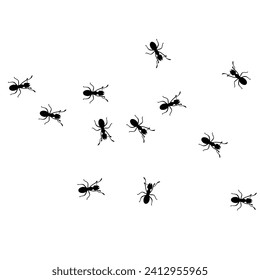 Vector illustration of a group of worker ants walking together on a white background. Black ants walking looking for food. Hard work concept.