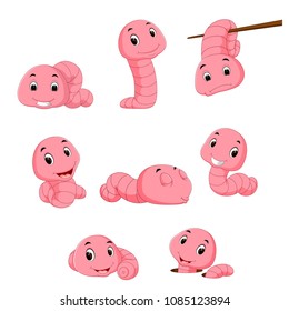 vector illustration of a group of worm on a white background