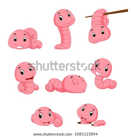 vector illustration of a group of worm on a white background