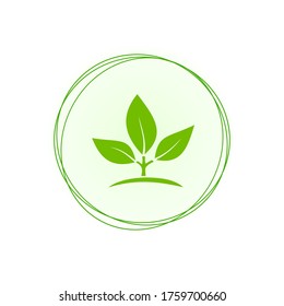 Vector illustration of growing green leaves on a light background.