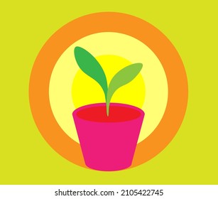 Vector illustration of growing leaf plant in pot with bright sunlight background.