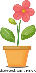 Vector illustration of growing plant with pink flower in pot.