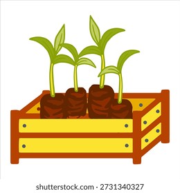 Vector illustration of growing seedlings in peat tablets.