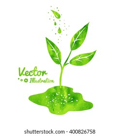 Vector illustration of growing sprout and water drops with green watercolor texture.
