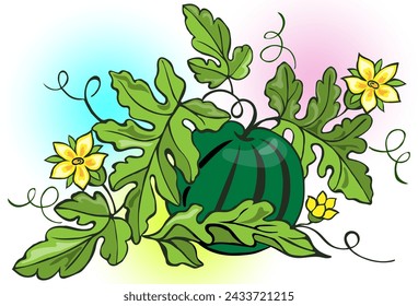Vector illustration of a growing watermelon.