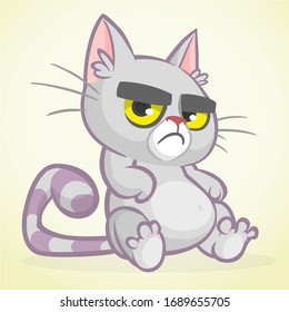 Vector illustration of grumpy cat. Cute fat cartoon cat with a grumpy expression isolated. Cat icon