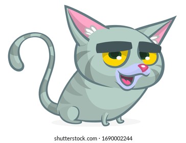 Imagen vectorial del gato gruñón. Un gato de caricatura gordo con una expresión gruñona aislado. Icono de gato