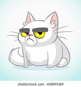 Vector illustration of grumpy white cat. Cute fat cartoon cat with a grumpy expression  icon isolated