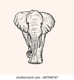 Vector illustration of grung elephant on light background