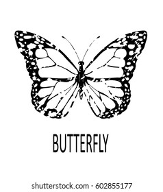 vector illustration of a grunge butterfly icon.