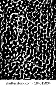 Vector illustration of grunge distressed pattern background. Black and white frottage. 