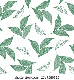 Vector illustration of grunge green two-color leaves seamless pattern. Floral organic background. For textiles, wallpaper and packaging. Transparent background