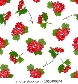 Vector illustration of guelder-rose branches seamless pattern. Red berries, green leaves on white background. Hand drawn.