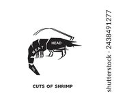 vector illustration guide Meat cuts set. shrimp Butcher Poster diagrams and schematics