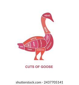 vector illustration guide Meat cuts set. goose Butcher Poster diagrams and schematics.	
